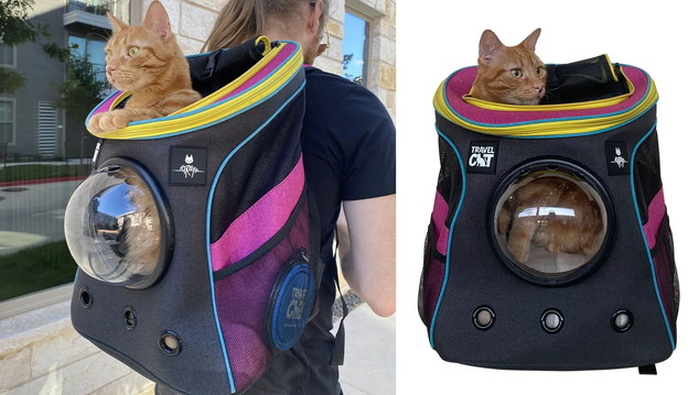Game developer prodaje ruksake za mačke