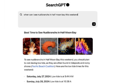 SearchGPT želi zamijeniti Google u pretraživanju