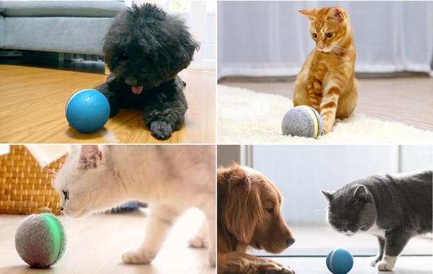 VIDEO: Pametna loptica za kućne ljubimce