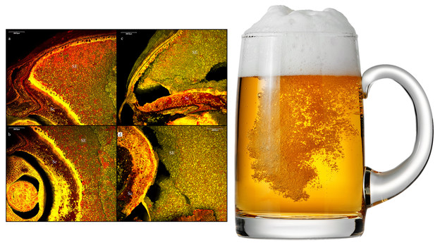 Ljudi su počeli praviti pivo prije 6.000 godina