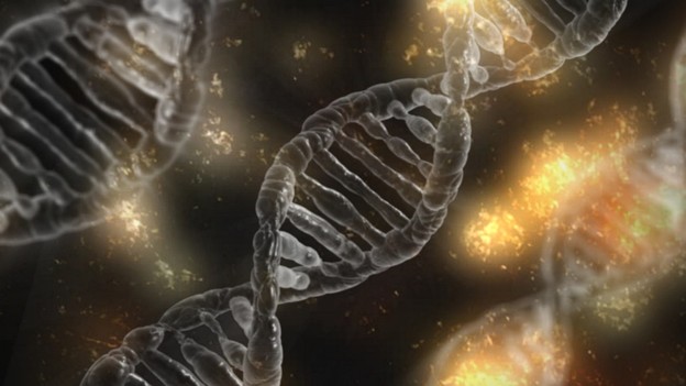 Nvidia i Harvard unaprijedili genetska istraživanja