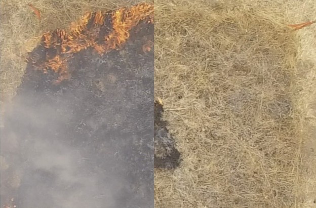 VIDEO: Gel koji sprječava razbuktavanje požara